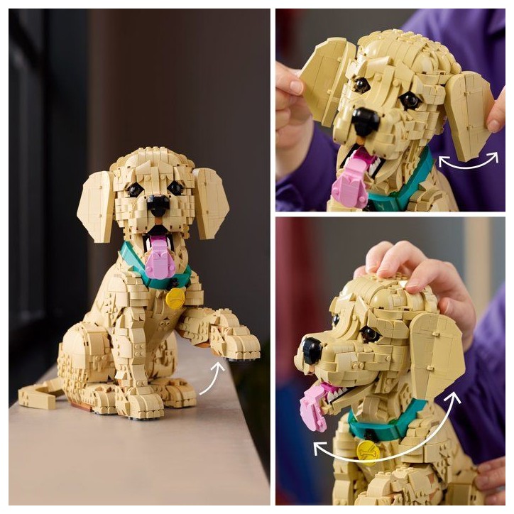 LEGO Icons 11384 Le Chiot Golden Retriever - Set pour Adulte - Maquette de Petit Chien