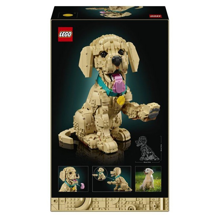 LEGO Icons 11384 Le Chiot Golden Retriever - Set pour Adulte - Maquette de Petit Chien