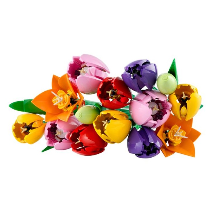 LEGO Botanicals 11501 Le Bouquet de Tulipes - Set de Construction pour Adulte - Cadeau LEGO Botanicals 11501 Le Bouquet de Tulipes - Set de Construction pour Adulte - Cadeau
