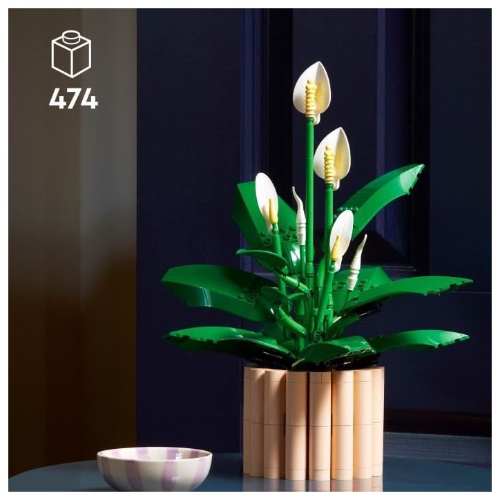 LEGO Botanicals 11504 Les Fleurs de Lune - Set de Plante Artificielle pour Adulte - Déco