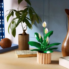 LEGO Botanicals 11504 Les Fleurs de Lune - Set de Plante Artificielle