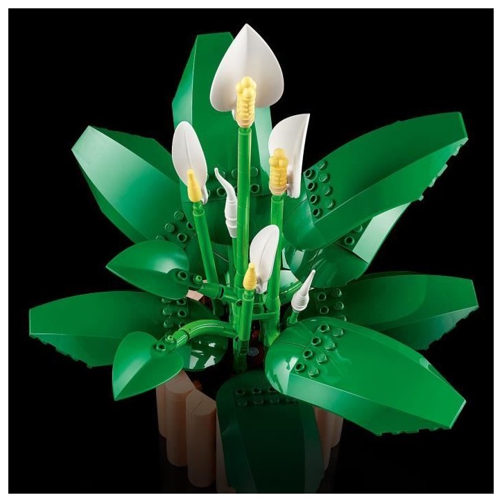 LEGO Botanicals 11504 Les Fleurs de Lune - Set de Plante Artificielle pour Adulte - Déco