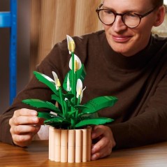 LEGO Botanicals 11504 Les Fleurs de Lune - Set de Plante Artificielle