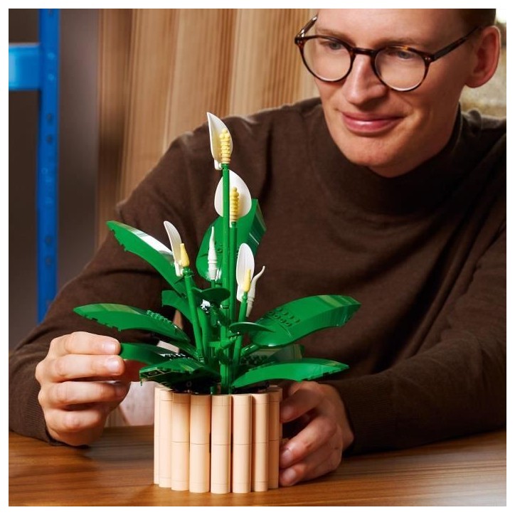 LEGO Botanicals 11504 Les Fleurs de Lune - Set de Plante Artificielle pour Adulte - Déco