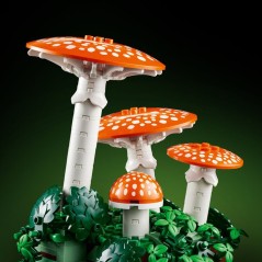 LEGO Botanicals 11505 Les Champignons des Bois - Set pour Adulte - Pla