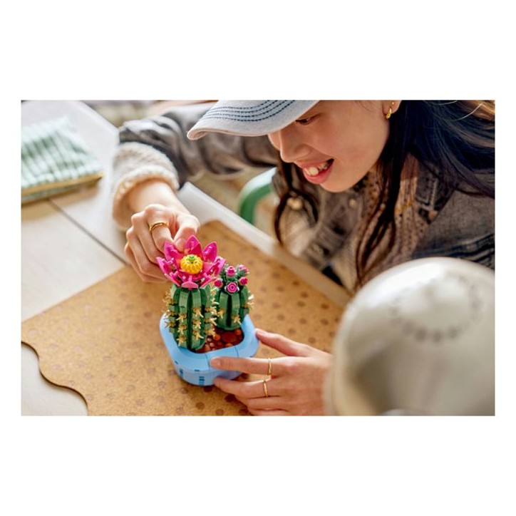 LEGO Botanicals 11509 Cactus Fleuri - Plante Artificielle des 9 ans - Décoration Chambre LEGO Botanicals 11509 Cactus Fleuri - Plante Artificielle des 9 ans - Décoration Chambre