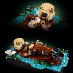 LEGO Ideas 21366 Les Loutres Câlines - Set de Construction Adulte - M