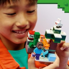 LEGO Minecraft 21583 Les Aventures de Steve dans la Taiga - Jeu Garço