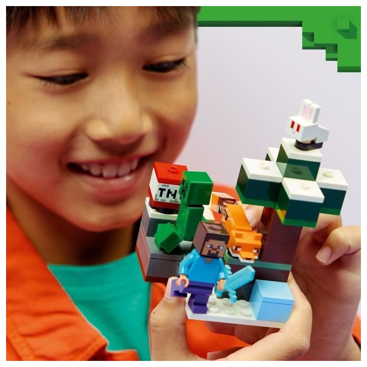 LEGO Minecraft 21583 Les Aventures de Steve dans la Taiga - Jeu Garçon ou Fille des 6 ans LEGO Minecraft 21583 Les Aventures de Steve dans la Taiga - Jeu Garçon ou Fille des 6 ans