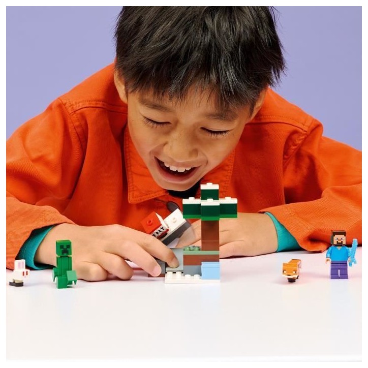 LEGO Minecraft 21583 Les Aventures de Steve dans la Taiga - Jeu Garçon ou Fille des 6 ans LEGO Minecraft 21583 Les Aventures de Steve dans la Taiga - Jeu Garçon ou Fille des 6 ans