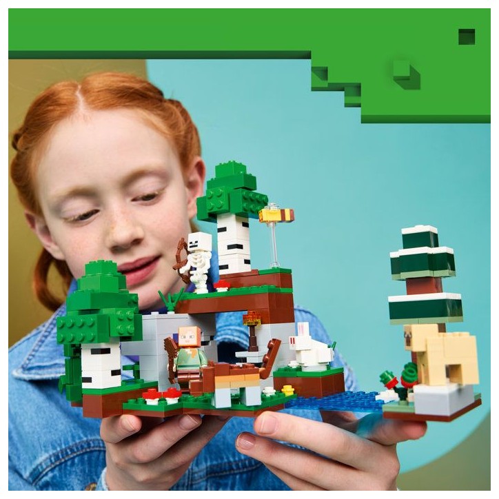 LEGO Minecraft 21593 L'Aventure de la Premiere Nuit - Jouet Interactif des 8 ans - Cadeau LEGO Minecraft 21593 L'Aventure de la Premiere Nuit - Jouet Interactif des 8 ans - Cadeau