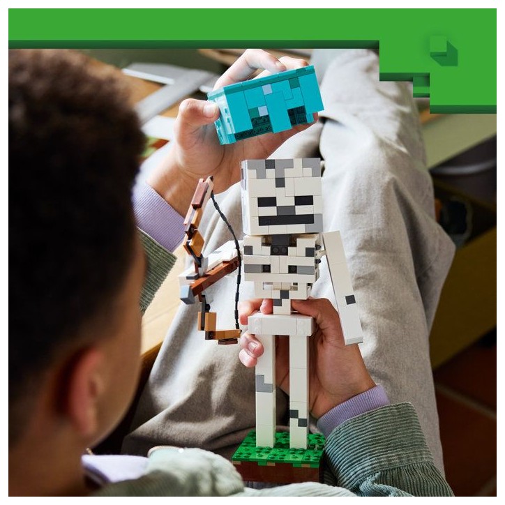 LEGO Minecraft 21594 Le Squelette - Jouet pour Garçon ou Fille des 10 ans - Figurine Mob LEGO Minecraft 21594 Le Squelette - Jouet pour Garçon ou Fille des 10 ans - Figurine Mob