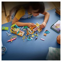 LEGO Friends 42699 La Maison sur la Plage et les Phoques - Jeu de Cons