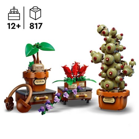 LEGO Harry Potter 76474 Les Plantes du Cours de Botanique de Poudlard