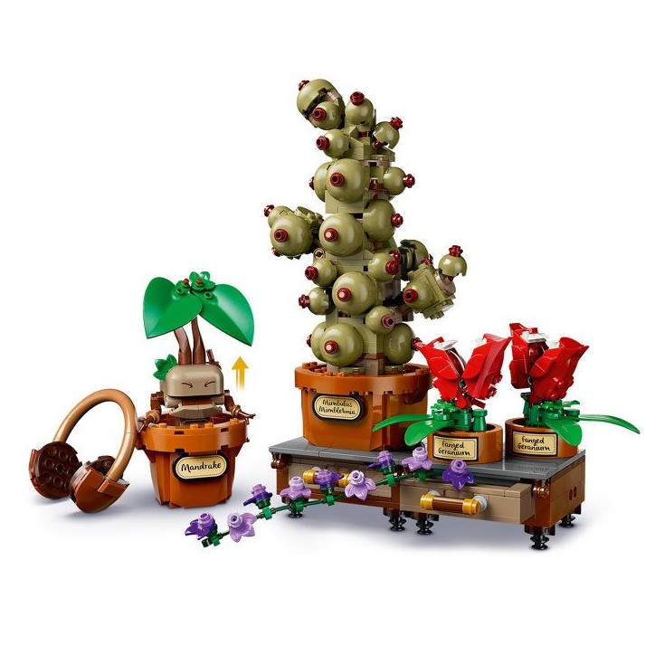 LEGO Harry Potter 76474 Les Plantes du Cours de Botanique de Poudlard - Jeu Créatif 12 ans LEGO Harry Potter 76474 Les Plantes du Cours de Botanique de Poudlard - Jeu Créatif 12 ans