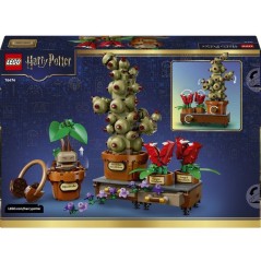 LEGO Harry Potter 76474 Les Plantes du Cours de Botanique de Poudlard