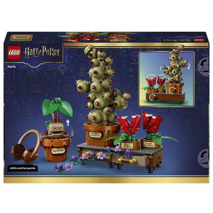 LEGO Harry Potter 76474 Les Plantes du Cours de Botanique de Poudlard - Jeu Créatif 12 ans LEGO Harry Potter 76474 Les Plantes du Cours de Botanique de Poudlard - Jeu Créatif 12 ans
