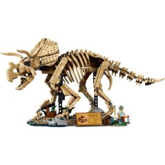 LEGO Jurassic World 77985 - Les fossiles de Dinosaures : Le Tricératops - Pour adulte