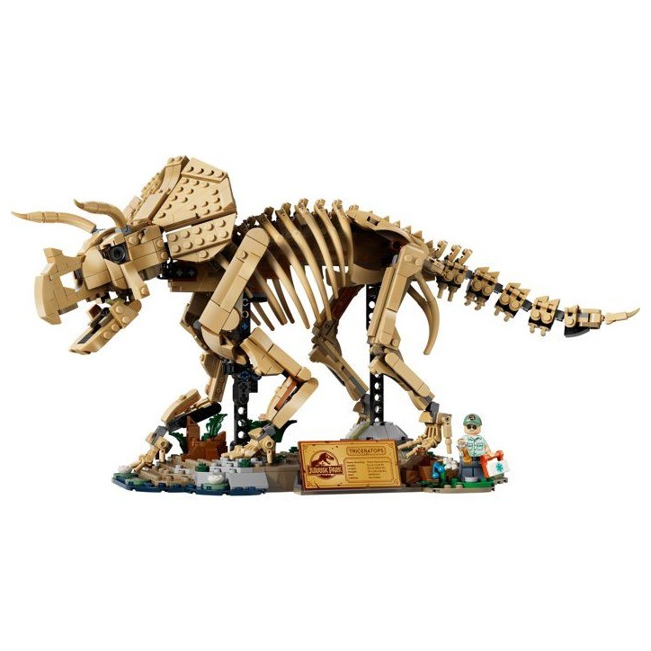 LEGO Jurassic World 77985 - Les fossiles de Dinosaures : Le Tricératops - Pour adulte LEGO Jurassic World 77985 - Les fossiles de Dinosaures : Le Tricératops - Pour adulte