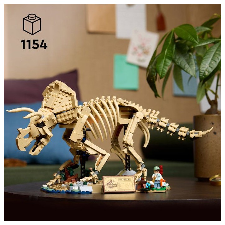 LEGO Jurassic World 77985 - Les fossiles de Dinosaures : Le Tricératops - Pour adulte LEGO Jurassic World 77985 - Les fossiles de Dinosaures : Le Tricératops - Pour adulte