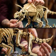 LEGO Jurassic World 77985 - Les fossiles de Dinosaures : Le Tricérato