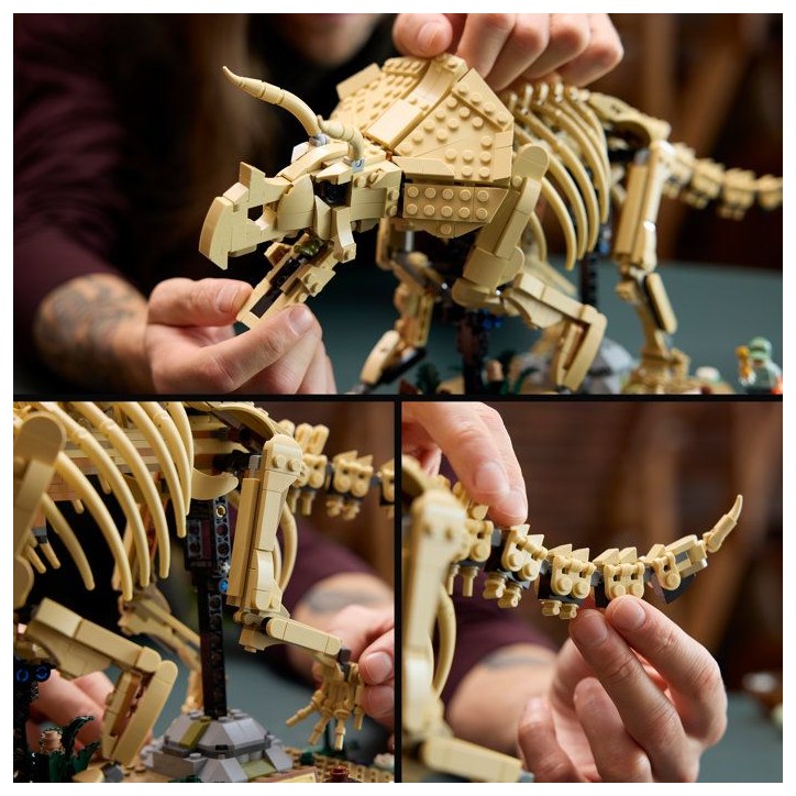 LEGO Jurassic World 77985 - Les fossiles de Dinosaures : Le Tricératops - Pour adulte LEGO Jurassic World 77985 - Les fossiles de Dinosaures : Le Tricératops - Pour adulte