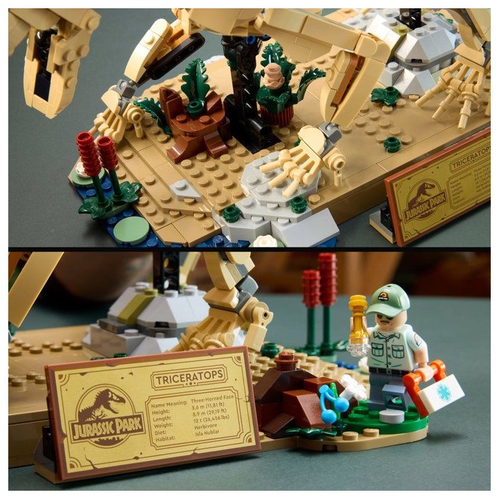 LEGO Jurassic World 77985 - Les fossiles de Dinosaures : Le Tricératops - Pour adulte LEGO Jurassic World 77985 - Les fossiles de Dinosaures : Le Tricératops - Pour adulte