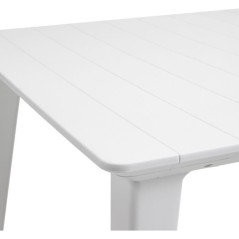 Table de jardin - rectangulaire - blanc - en résine - 8 a 10 personne