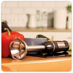 LITTLE BALANCE Mixeur plongeant Speed Inox 600