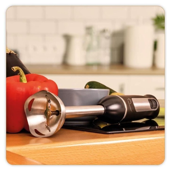LITTLE BALANCE Mixeur plongeant Speed Inox 600 LITTLE BALANCE Mixeur plongeant Speed Inox 600