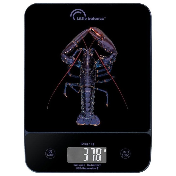 Balance de cuisine - LITTLE BALANCE - 8710 - Happy Genius 10 - USB - Sans pile - Blue Homard Balance de cuisine - LITTLE BALANCE - 8710 - Happy Genius 10 - USB - Sans pile - Blue Homard
