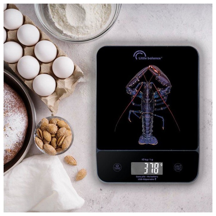 Balance de cuisine - LITTLE BALANCE - 8710 - Happy Genius 10 - USB - Sans pile - Blue Homard Balance de cuisine - LITTLE BALANCE - 8710 - Happy Genius 10 - USB - Sans pile - Blue Homard