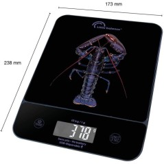 Balance de cuisine - LITTLE BALANCE - 8710 - Happy Genius 10 - USB - S