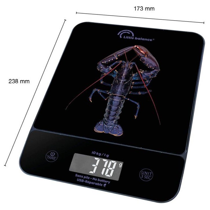Balance de cuisine - LITTLE BALANCE - 8710 - Happy Genius 10 - USB - Sans pile - Blue Homard Balance de cuisine - LITTLE BALANCE - 8710 - Happy Genius 10 - USB - Sans pile - Blue Homard