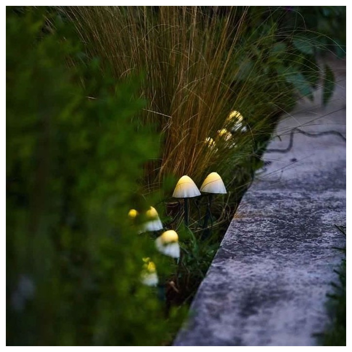10 mini-champignons lumineux solaires a piquer - LUMISKY - CHAMPY - 3.8 m - Balisage allée - LED blanc chaud 10 mini-champignons lumineux solaires a piquer - LUMISKY - CHAMPY - 3.8 m - Balisage allée - LED blanc chaud