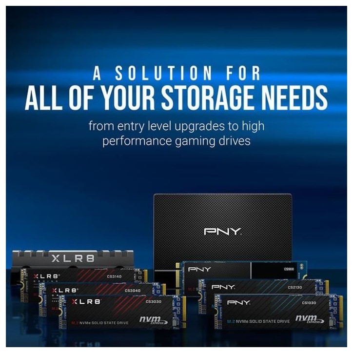 PNY - CS1030 - SSD - 500 Go - M.2 2280 - M280CS1030-500-RB PNY - CS1030 - SSD - 500 Go - M.2 2280 - M280CS1030-500-RB