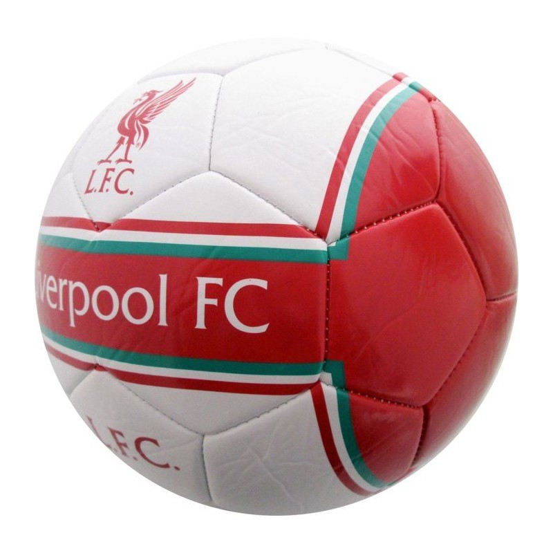 Ballon de football - MANCHESTER CITY - T5