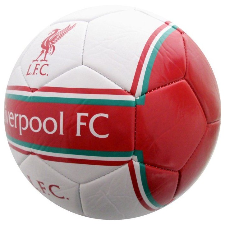 Ballon de football - MANCHESTER CITY - T5