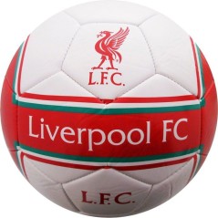 Ballon de football - MANCHESTER CITY - T5