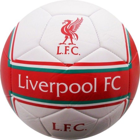 Ballon de football - MANCHESTER CITY - T5