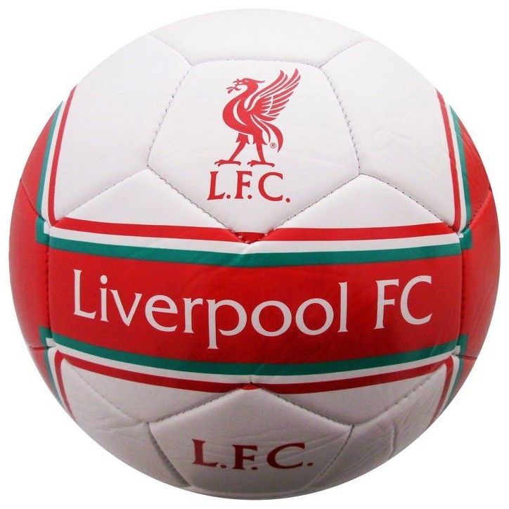 Ballon de football - MANCHESTER CITY - T5