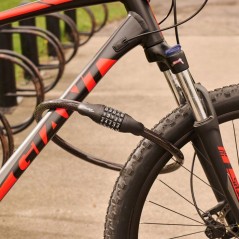 Antivol câble vélo - MASTER LOCK - Serrure a combinaison