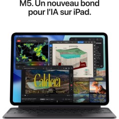 APPLE - iPad Pro M5 - 11 - Wi-Fi - 512 Go - Verre standard - Space Bla