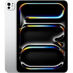 APPLE - iPad Pro M5 - 11 - Wi-Fi - 2 To - Verre nano-texturé - Silver