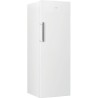 Congélateur armoire - BEKO série b100 - RFNE290L41WN - Classe E - 25
