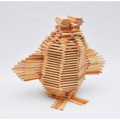 MECABOIS Livre L'ABC des Constructions - Modeles constructions planche
