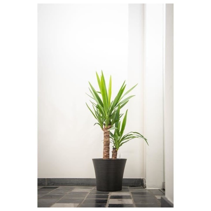 Pot de fleurs - GARDEN ID - Green Care Sense Noir-Anthracite - 40 x 34 cm - Garantie de 10 ans - 100% recyclé - Résistance UV