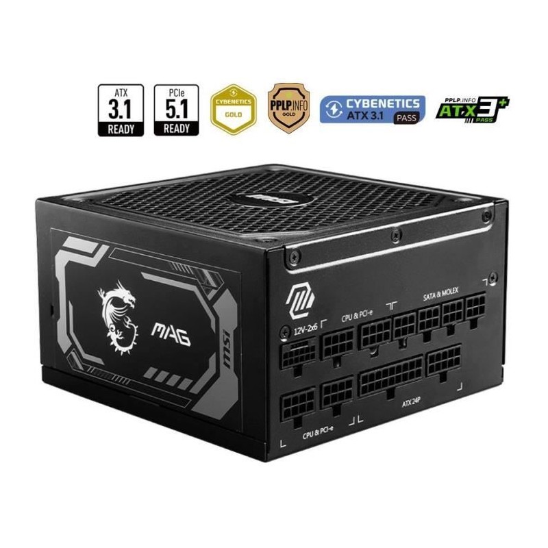 Alimentation PC - MSI - 306-7ZP9A11-CE0 - MAG A1250GL PCIE5