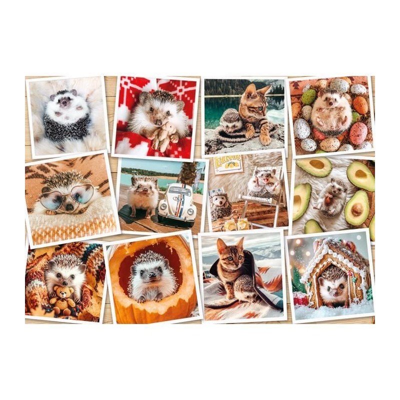 Puzzle 1500 pieces : Photo animaux mignons