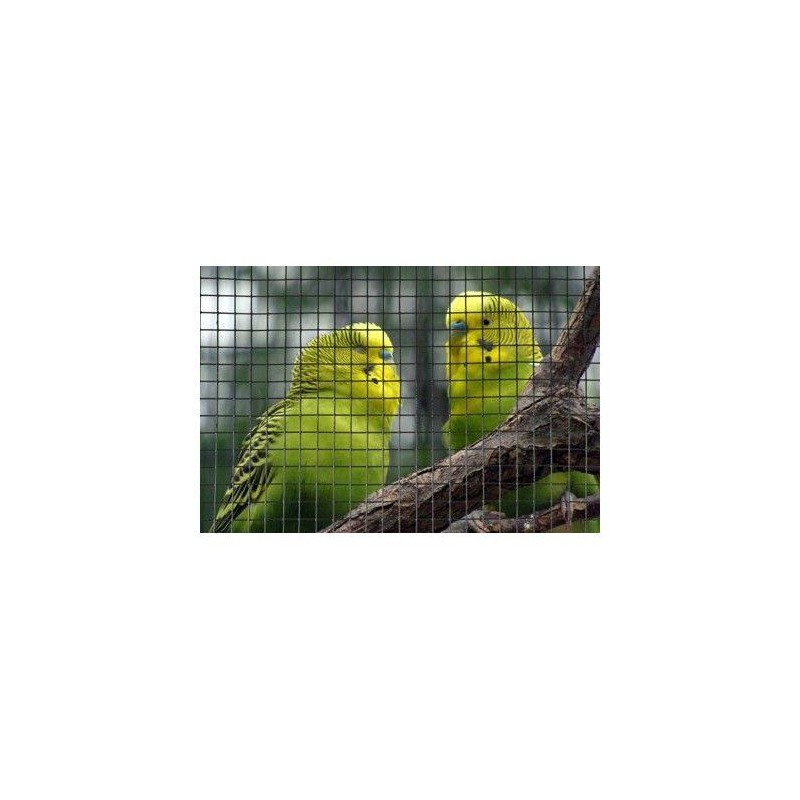 Grillage carré - NATURE - 0,5 x 3 m - Ep. 6,4 mm - Vert